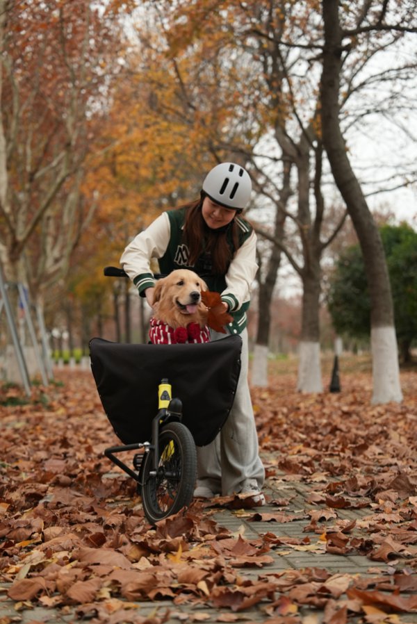 上海1小时直达！“长三角宠物友晴天花板”竣事携宠出游吃喝玩乐目田